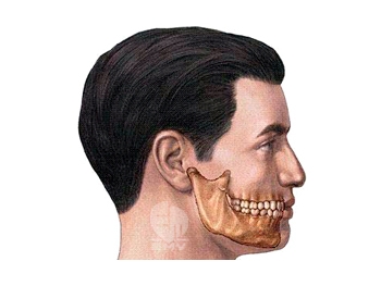 本頁圖片/檔案 - Jaw Movement Training Aid_b